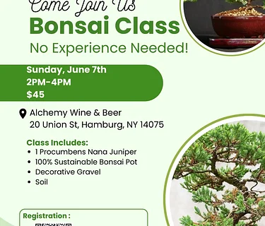 Bonsai Class by Ashton Ferns