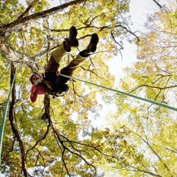 Arborist Training in Garner, NC