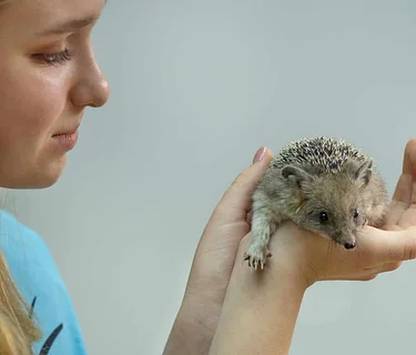 Junior WILD! Keepers: Summer Session 2
(2-day session)