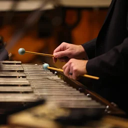 GRIEG PIANO CONCERTO