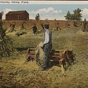 Forgotten Agriculture: Growing Hemp in Early Illinois