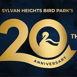 20th Anniversary Celebration