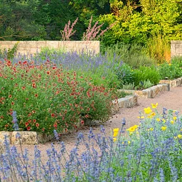 Austin WaterWise Landscaping Series