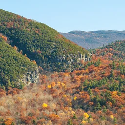 Explore Our Trails