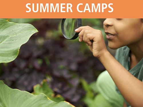 Garden Guests Summer Camp 6.29 & 6.30