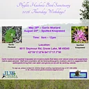 Haehnle Sanctuary Spotted Knapweed Work Day