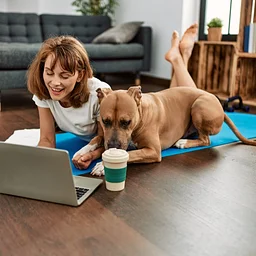 Online Conference Ophthalmology and Feline Medicine January 2027January 21 - 23, 2027