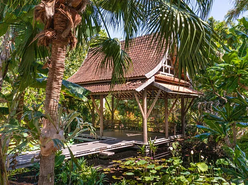 ALI9: The Sacred Lotus Sound Meditation