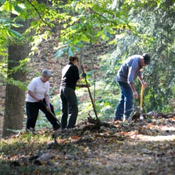 Volunteer Project