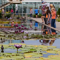 Water Garden Wonders