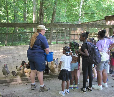 Farm Science: Incredible Eggs