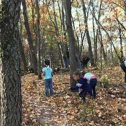Monthly Buckthorn Removal Day