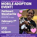 Mobile Adoptions @ PetSmart Waxahachie