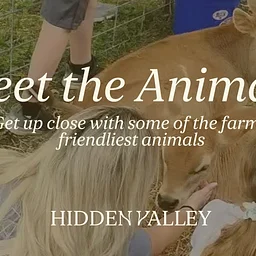 Meet The Animals