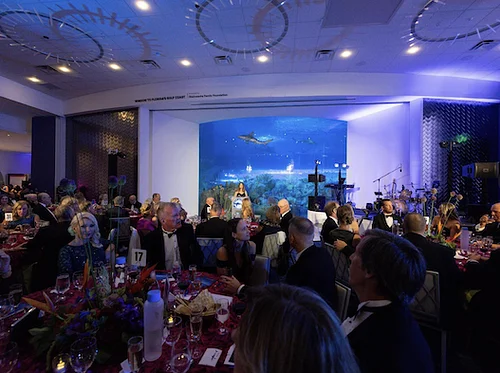 Oceanic Evening 2026
