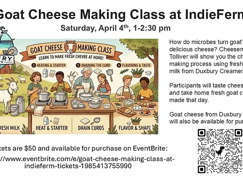 Goat Cheese Making Workshop at IndieFerm (Plymouth)