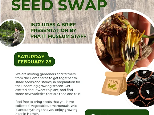 Community Seed Swap