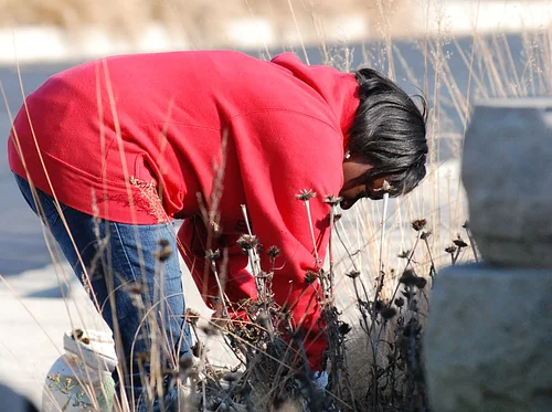 Horticulture Volunteer Day