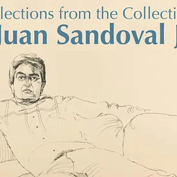 Selections from the Collection: Juan Sandoval Jr.