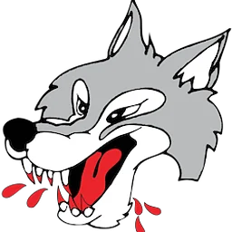 vs. Sudbury Wolves