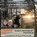 Live Music - Light In The Forest