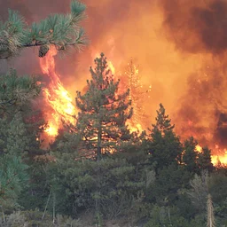 S-290: Intermediate Wildland Fire Behavior – Schell-Vista Fire Protection District, Sonoma – November 2026