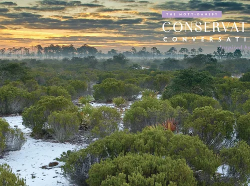 Protecting Florida’s Wild Landscapes: A Conversation with Dr. Hilary Swain