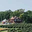 Vineyard View Winery