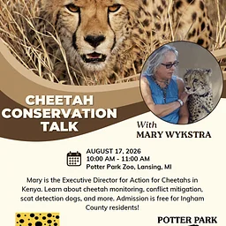 Action For Cheetahs Conservation Talk