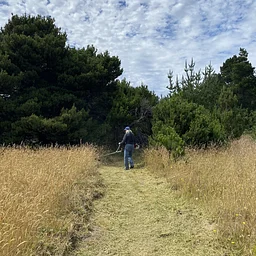 Caspar Cares Trail Stewards Event (Caspar Headlands)
