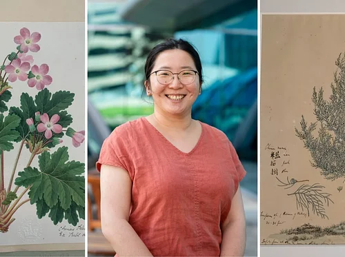Art or Science? The Co-Construction of Botanical Illustration