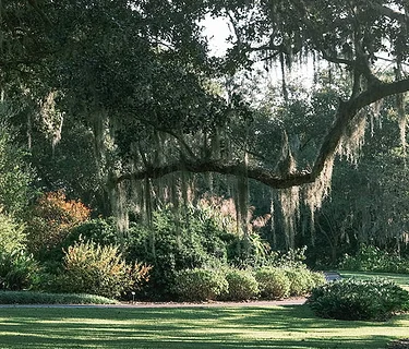 Bok Tower Gardens Landscape Tour with Brendan Huggins
