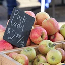 Farmers Market in the Plaza