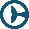 Clearwater Marine Aquarium
