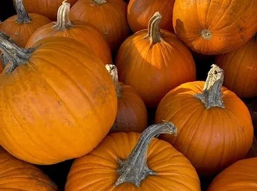 Family Fun Days: Halloween with DAC & the Library 2026
