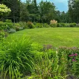 Tuesday Talk – Closing the Perennial Border with John Fromer