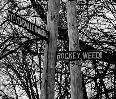 Live Music - Rockey Weed Road Band & Friends