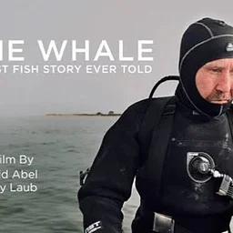 ‘In the Whale’ Film Screening (Hull)