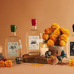 Día de Los Muertos