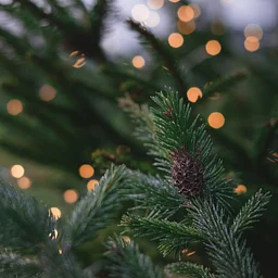 Union + Co Holiday Party