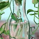 Painting Plus in Procreate (5SU26)