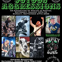Opening Reception 'Joyous Aggressions'