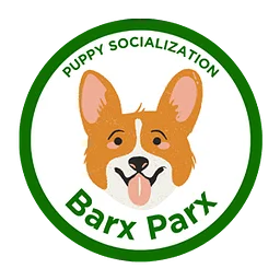 Puppy Socialization