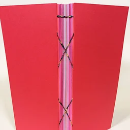Coptic Binding 2