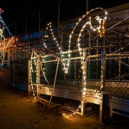 Winter Celebration at Pine Grove Park