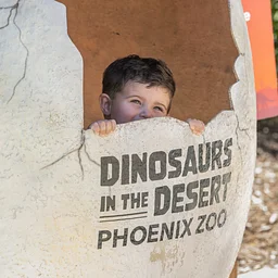 Sensory Friendly Dinosaurs in the Desert