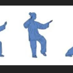 Tai Chi (Beginner, Intermediate, Advanced)