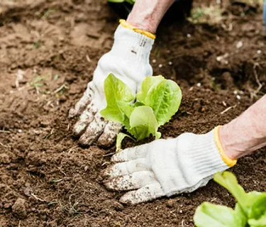 Austin Organic Gardeners April Meeting