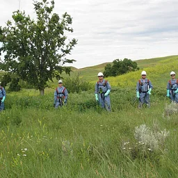 Webinar: Building Capacity for Rapid Response: Interjurisdictional Invasive Species Rapid Response Team (IInSRRT)