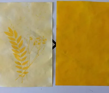 Crafting for Conservation: Sun Printing with Tumeric